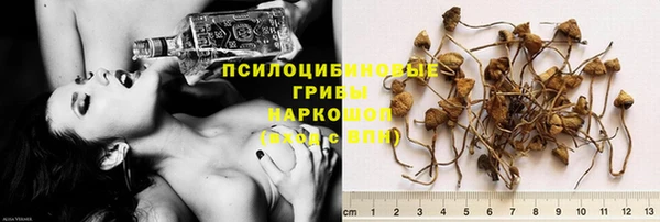 МДПВ Горняк