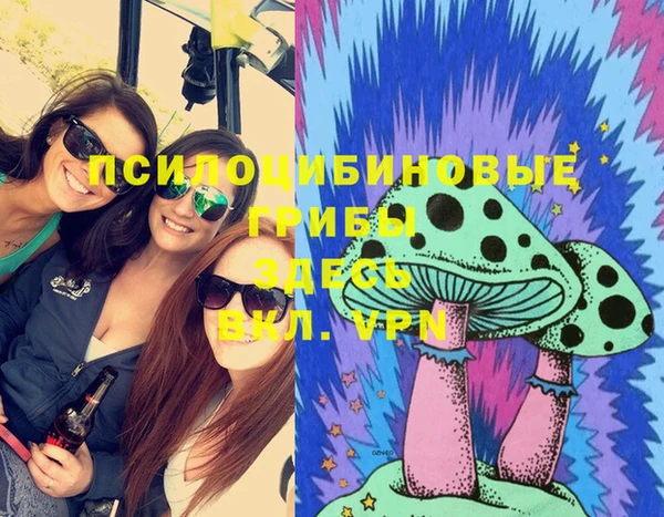 мескалин Гусиноозёрск