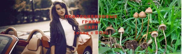 кокаин перу Гусев
